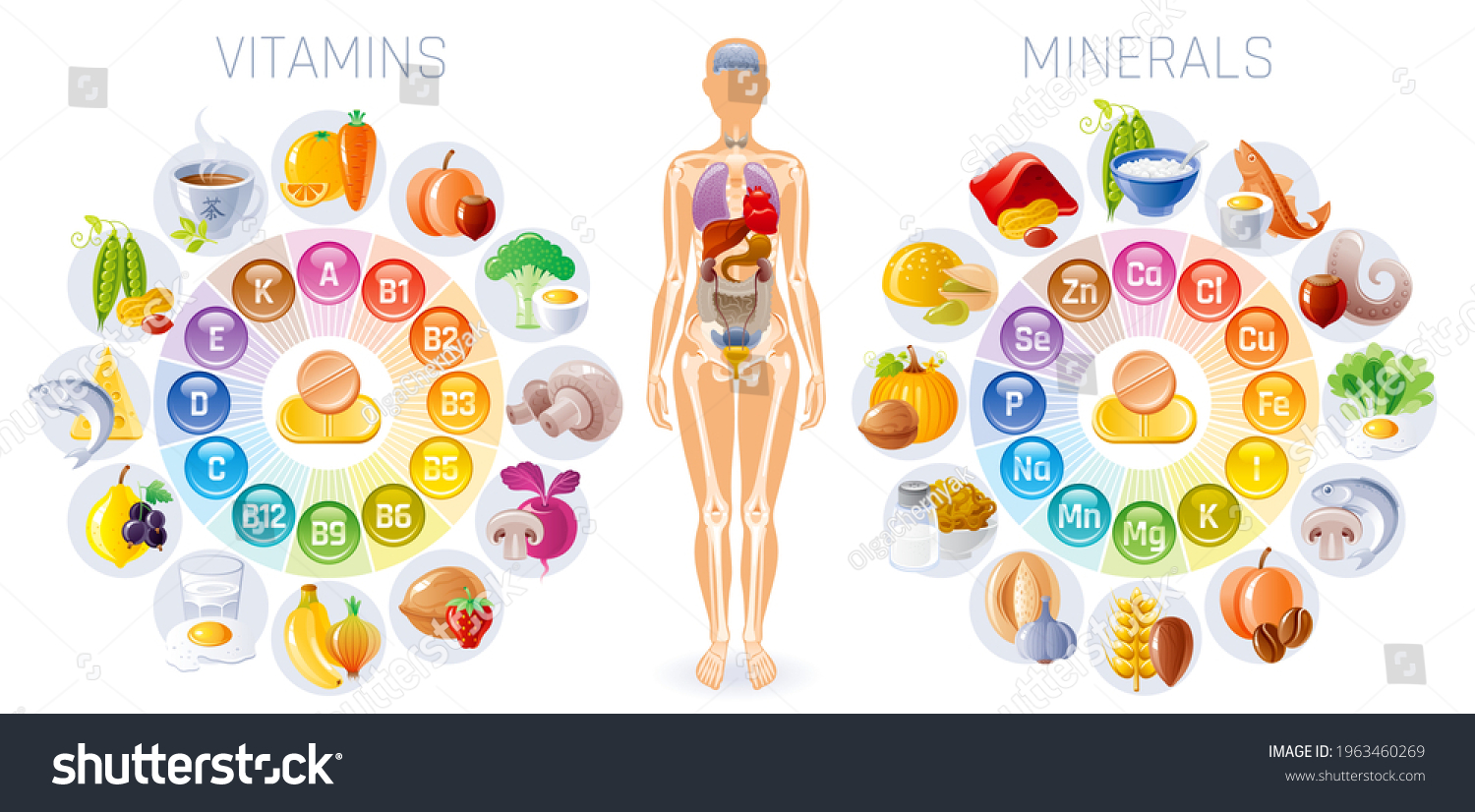 The Role of Vitamins and Minerals in the Body: Why They Are Essential for Health